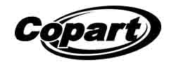 Network logo