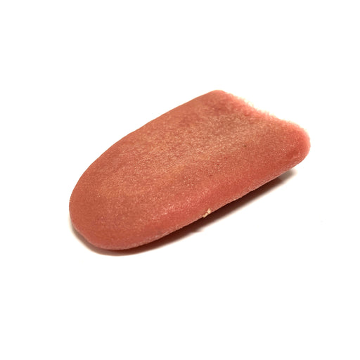 Special Effects Silicone Fake Severed Tongue - Prop Money Inc.