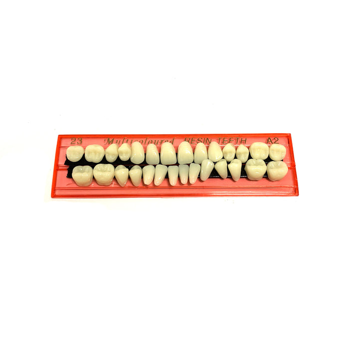 Professional Grade Fake Resin Teeth Set - 28 Pieces - Prop Money Inc.
