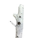 24 Inch Stunt Tree Wood Branch Flexible Foam Prop - Prop Money Inc.