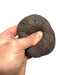 Foam Granite Oval Potato Rock Prop - Prop Money Inc.